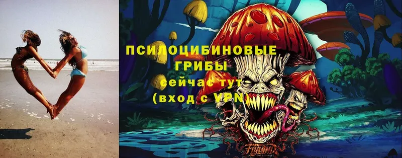 Галлюциногенные грибы Magic Shrooms  где можно купить   Козловка 